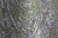 Benacre fibreglass roof work